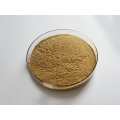 Hot Selling Natural Seaweed Extract Powder